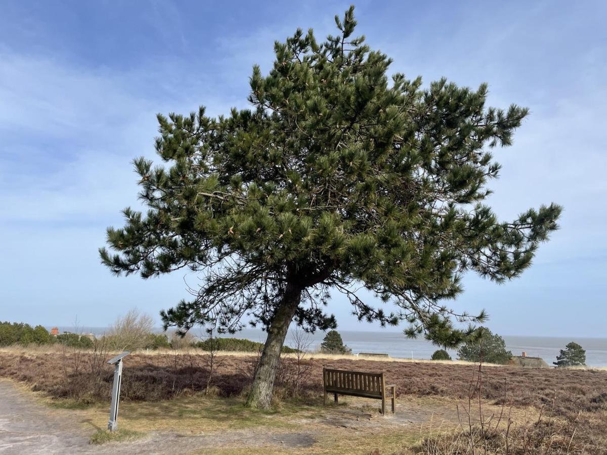 Apartmán Duenenrose Sylt Exteriér fotografie